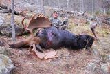 Great Ontario Moose Hunting at Halleys Camps