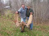 Guided Moose Hunting in Ontario - Halleys Camps