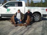 Trophy Moose Hunts in Ontario