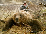 Brown Bear Hunting Alaska Trophy Brown Bears at it