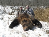 Brown Bear Huntin Alaska, Alaska Grizzly Bear Hunting