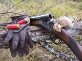 The Finest Quail Hunting Experience in Georgia