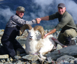 Alaskan Dall Sheep Hunting, Dall Sheep Hunts Experienced Hunting Guide. 