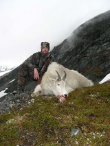 "Alaska Mountain Goat Hunting" Alaska Goat Hunts, Big Game Hunting Alaska