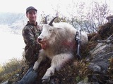 Mountain Goat Hunting Guide, Alaska Mountain Goat Hunts Experienced Hunting Guide and hunting Outfitter.