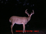Iowa Monster Deer Trail Cam. 