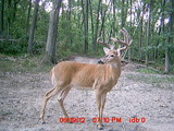 Deer Hunting Iowa, Trophy Iowa Deer Hunts.