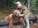 Alberta Color Phase Bear.