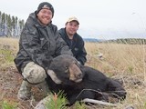 Alberta Black Bear Hunting.