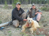 Blonde Bear Hunt Alberta Canada