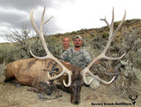 Archery Elk Hunting In Wyoming