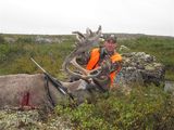 Caribou Hunting Outfitters