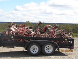 Quebec Caribou Outfitter