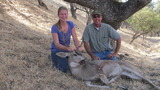 California Black Tail Deer Hunting.