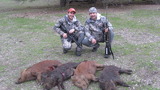Californioa Wild Pig Hunting Outfitters
