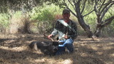 Blacktail Deer Hunting Outfitters.