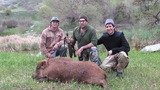 Pig Hunting in California.