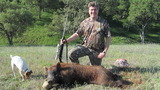 Boar Hunting California, California Boar Hunting Outfitters.