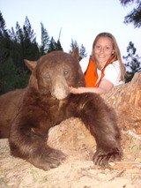 KoLiss Montana Black Bear