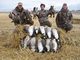 Waterfowl Hunting in Manitoba Canada.