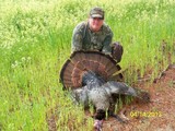 Turkey Hunting South Carolina Low Country
