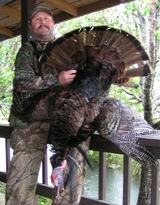 Spring Turkey Hunting South Carolina.
