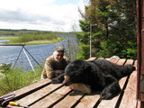 Canada Black Bear Hunting Guides