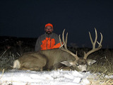 Deer Hunting Colorado.