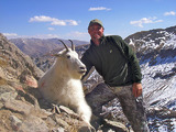 Colorado Mountain Goat Hunts.