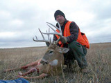 Deer Hunting Colorado.