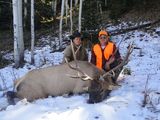 Trohy Elk Hunting in Colorado.