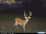 Kentucky Whitetail Deer Hunting Outfitters.
