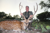 Texas Axis Deer Hunting Outfitters.