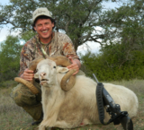 Texas Exotic Sheep Hunting.