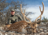 Axis Deer Hunting in Texas.