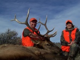 Elk Hunting in Colorado with Rocky Mountain Hunting.