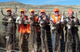 Mule Deer Hunting in Colorado Rocky Mountains.