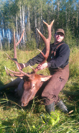 Alberta Archery Elk Hunts.
