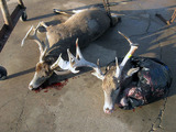 Southern Kansas Deer Hunting Trip.