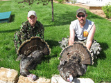Kansas Rio Grande Turkey Hunting Irish Creek Outfitters.