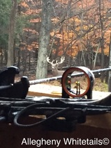 Deer Hunt PA