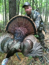 Eastern Turkey hunting in Tennessee.