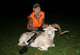 Texas Dall hunting at Goodman Ranch.
