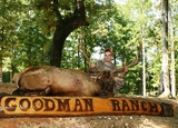 Elk hunting at Goodman Ranch.