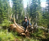 Montana Elk Hunts
