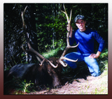 Elk hunting in the Bob Marshall Wilderness