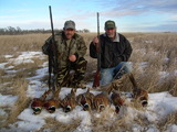 South Dakota Pheasant hunting at Platte Creek Lodge