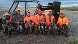 Pheasant Hunting Platte Creek Lodge