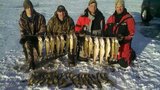 Walleye on the ice
