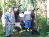 Feral Hog Hunting Pennsylvania.